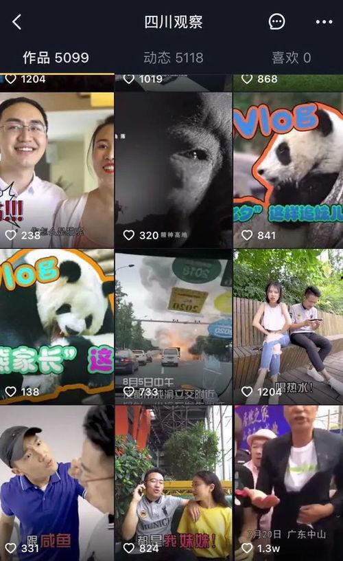 四川观察爆料新闻视频,最新爆料视频背后的惊人真相