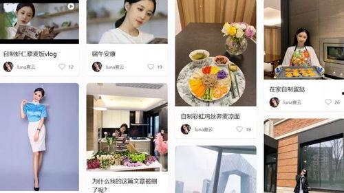 官宣结婚爆料视频下载,揭秘明星夫妻浪漫婚礼幕后花絮