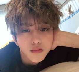 蔡徐坤杨颖圈内人爆料,揭秘明星背后的真实故事